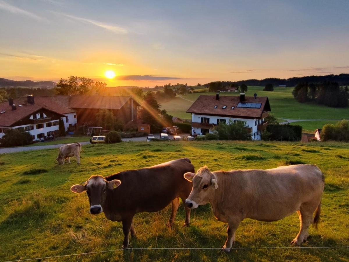 Apartmán Ferienhof Hefele Hopferau Exteriér fotografie